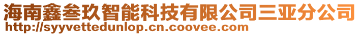 海南鑫叁玖智能科技有限公司三亞分公司