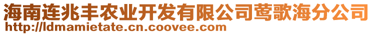 海南連兆豐農(nóng)業(yè)開發(fā)有限公司鶯歌海分公司