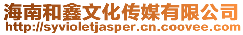 海南和鑫文化傳媒有限公司
