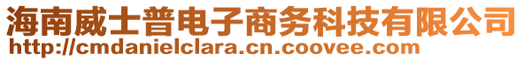 海南威士普電子商務科技有限公司