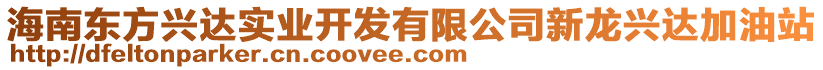 海南東方興達(dá)實(shí)業(yè)開(kāi)發(fā)有限公司新龍興達(dá)加油站