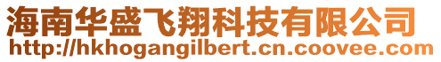 海南華盛飛翔科技有限公司