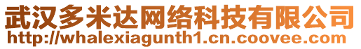 武漢多米達(dá)網(wǎng)絡(luò)科技有限公司