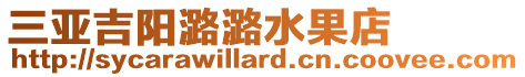 三亞吉陽潞潞水果店