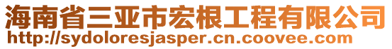 海南省三亞市宏根工程有限公司