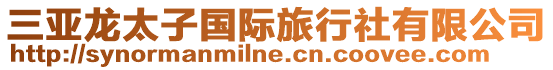 三亞龍?zhí)訃?guó)際旅行社有限公司