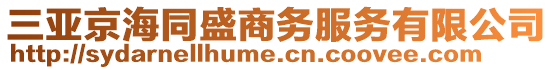 三亞京海同盛商務(wù)服務(wù)有限公司