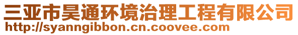 三亚市昊通环境治理工程有限公司