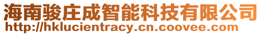 海南駿莊成智能科技有限公司