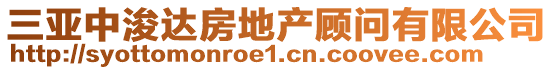 三亞中浚達(dá)房地產(chǎn)顧問(wèn)有限公司