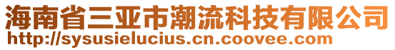 海南省三亞市潮流科技有限公司