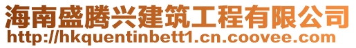 海南盛騰興建筑工程有限公司