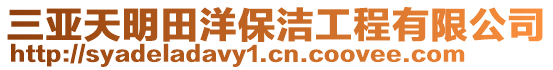 三亞天明田洋保潔工程有限公司