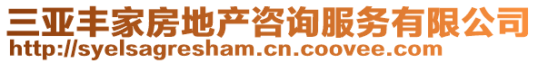 三亞豐家房地產(chǎn)咨詢服務(wù)有限公司