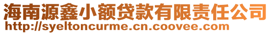 海南源鑫小額貸款有限責任公司