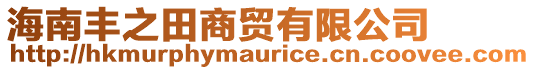 海南豐之田商貿有限公司