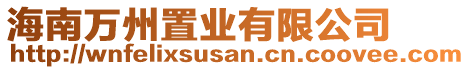 海南萬州置業(yè)有限公司