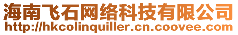 海南飛石網絡科技有限公司