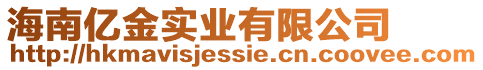 海南億金實業(yè)有限公司