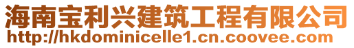 海南寶利興建筑工程有限公司