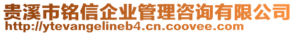 貴溪市銘信企業(yè)管理咨詢有限公司