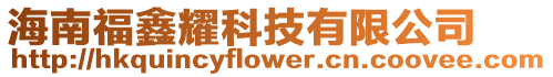 海南福鑫耀科技有限公司