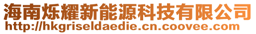 海南爍耀新能源科技有限公司