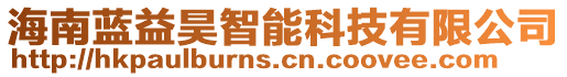 海南藍(lán)益昊智能科技有限公司