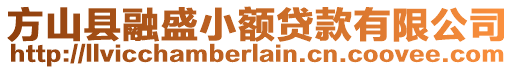 方山縣融盛小額貸款有限公司