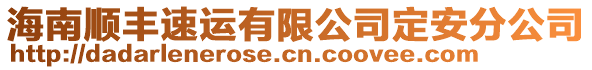 海南顺丰速运有限公司定安分公司