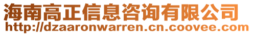 海南高正信息咨詢有限公司