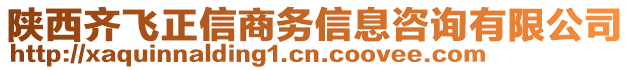 陜西齊飛正信商務(wù)信息咨詢有限公司