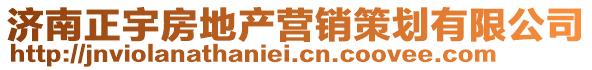 濟南正宇房地產營銷策劃有限公司