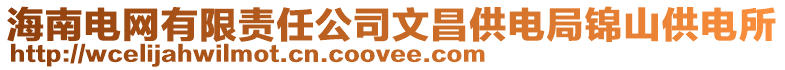 海南電網有限責任公司文昌供電局錦山供電所