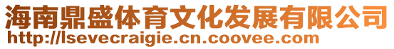 海南鼎盛體育文化發(fā)展有限公司