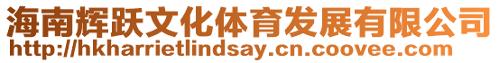 海南輝躍文化體育發展有限公司