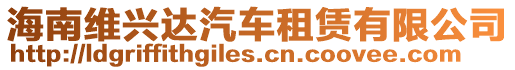 海南維興達(dá)汽車租賃有限公司