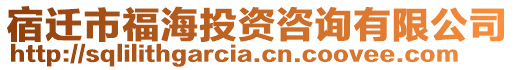 宿遷市福海投資咨詢有限公司