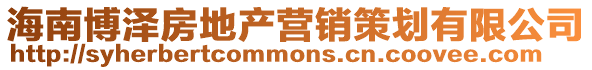 海南博澤房地產(chǎn)營銷策劃有限公司