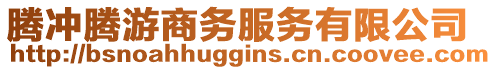 騰沖騰游商務(wù)服務(wù)有限公司