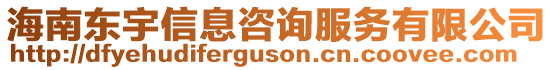 海南東宇信息咨詢服務(wù)有限公司