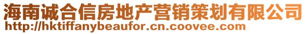 海南誠合信房地產(chǎn)營銷策劃有限公司