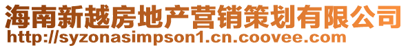 海南新越房地產營銷策劃有限公司
