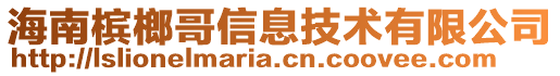 海南檳榔哥信息技術(shù)有限公司