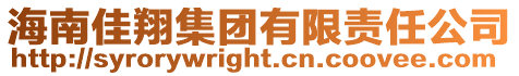 海南佳翔集團有限責任公司