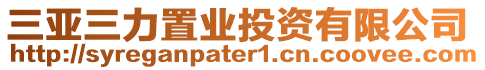 三亞三力置業投資有限公司
