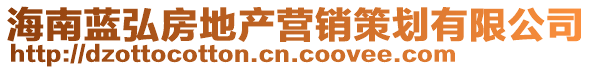 海南藍弘房地產營銷策劃有限公司