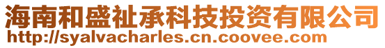 海南和盛祉承科技投資有限公司