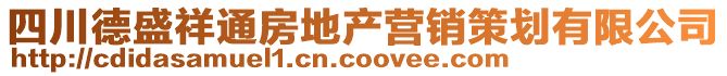 四川德盛祥通房地產(chǎn)營銷策劃有限公司