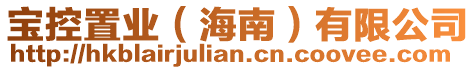寶控置業(海南)有限公司